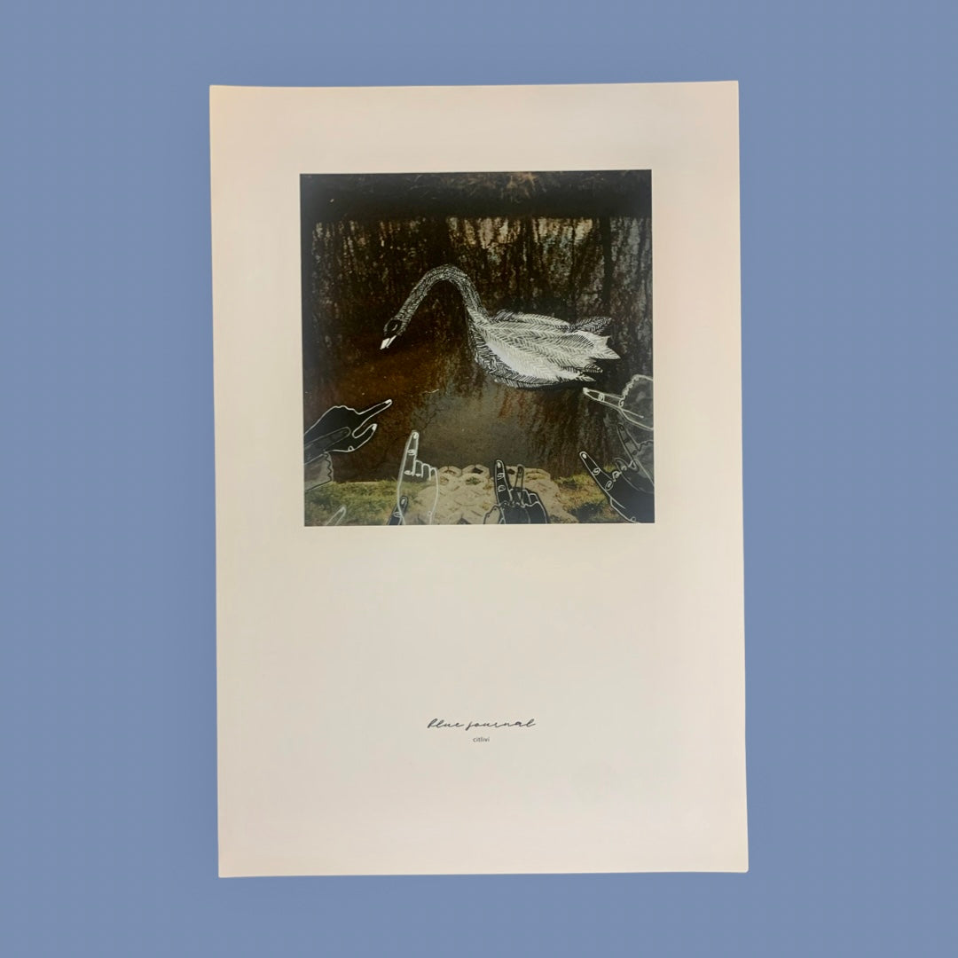 Blue Journal Photo Print